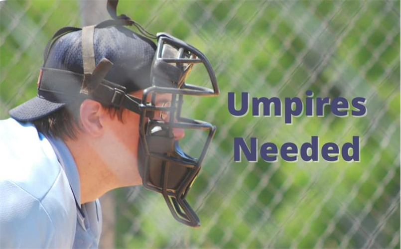 Fall Ball Umpires Application